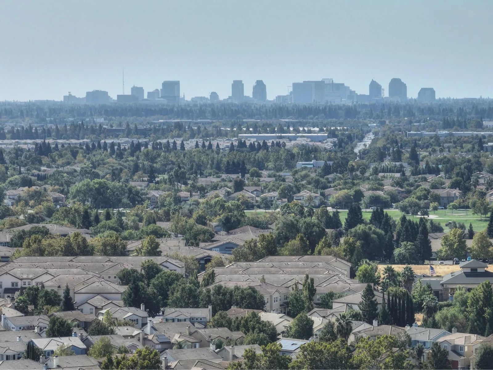 Aerial view of a suburban neighborhood of single-family homes with a city skyline in the distance. Lush greenery and clear skies.